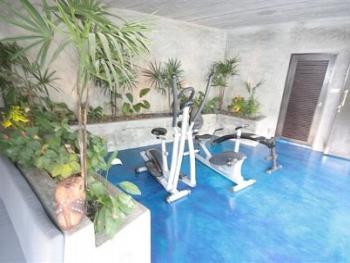 Lower ground floor mini gym