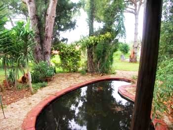 Garden pond