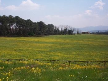 Views to beautiful fields