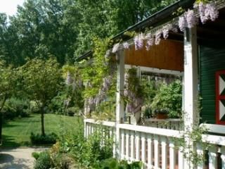 Patio terrace and garden