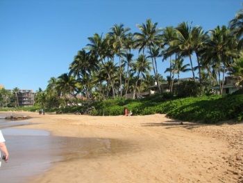 Walk to beach 1/2 mile away