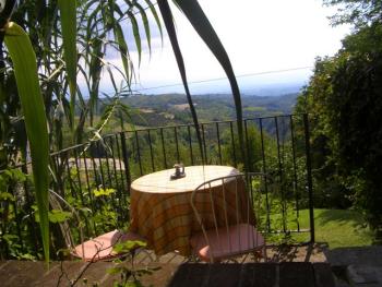 view from the balcony