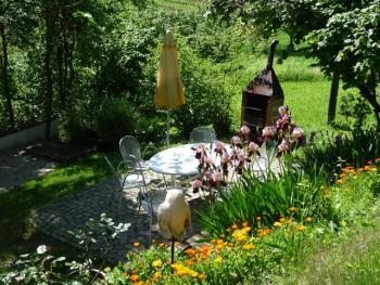 barbecue in the garden