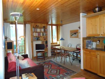 living room with sofa bed 