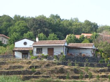 Vineyard - Lodging