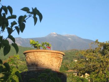 Mt. etna from "the Vineyard"