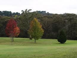 Leura Golf Course