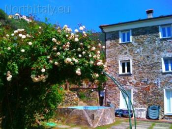 Mature gardens around house