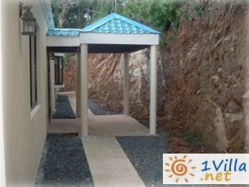 Backyard Area in progress