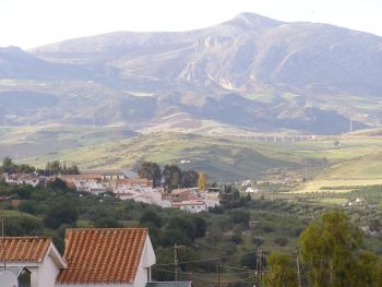 View from Terrace