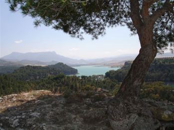 Countryside around Alora