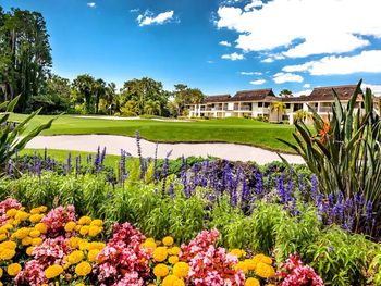 Home overlooking golf course