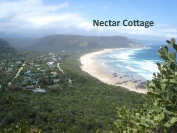 Nectar cottage location