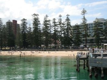Enjoy bathing in Manly