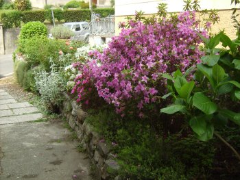 Entrance to building.