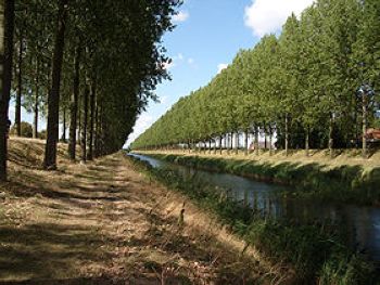 canal Maldegem