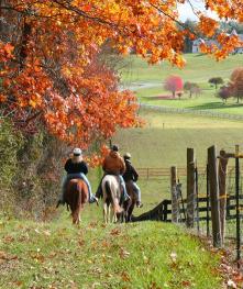 Pocono West PA - Outside life