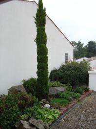 Pretty gardens to enjoy