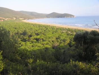 the seaside at one our