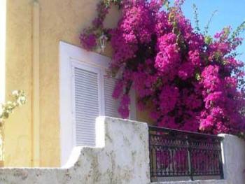 Villa Hannah and flowers