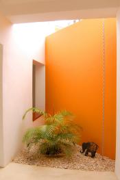 view of one of small gardens