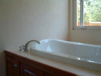 Master Suite Soaking Tub