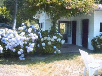 You will enjoy the flowers