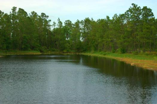 Beautiful lake nearby