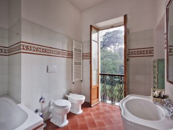 Bathroom with a view