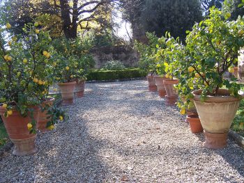 You will enjoy the gardens