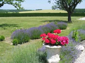 Views from rear terrace