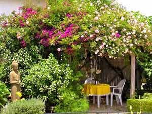 Relax on the terrace