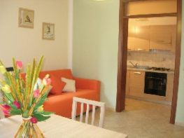 Kitchen and living area