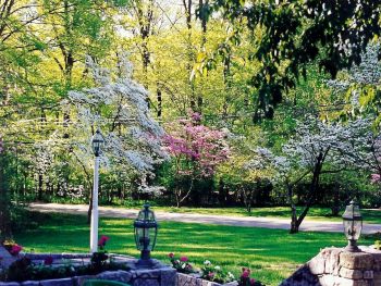 A View from the Terrace