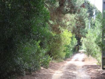 Find a wonderful place 