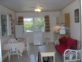 Apartment Lounge/ Diner