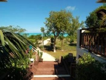 Garden from rear steps