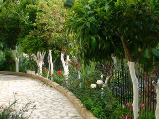 garden area outside studios
