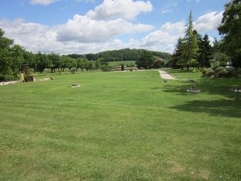 large meadow for children ...