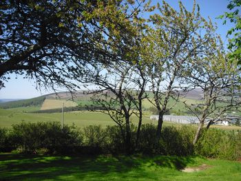 view down to the distillery