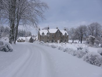 in the snow