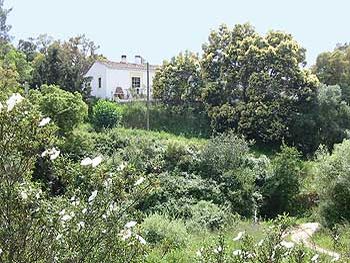 terrace on the backside