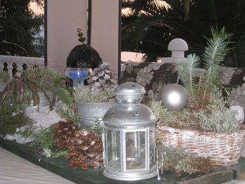 Decoration for Christmas 