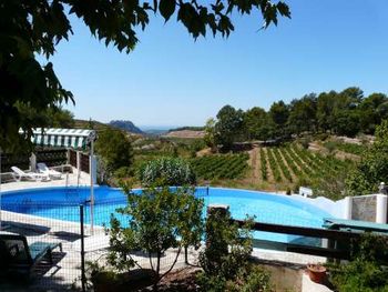 Views across vinyard