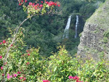 One of the many falls 