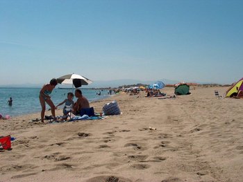 Beach Midle Ocean