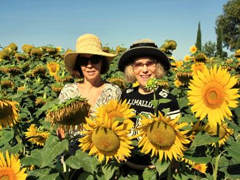 Tuscany holiday farmhouse in Cortona