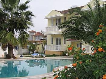 view from the garden