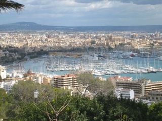 Palma