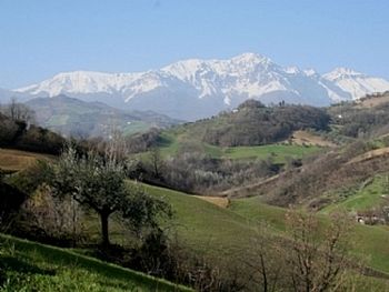 View from patio